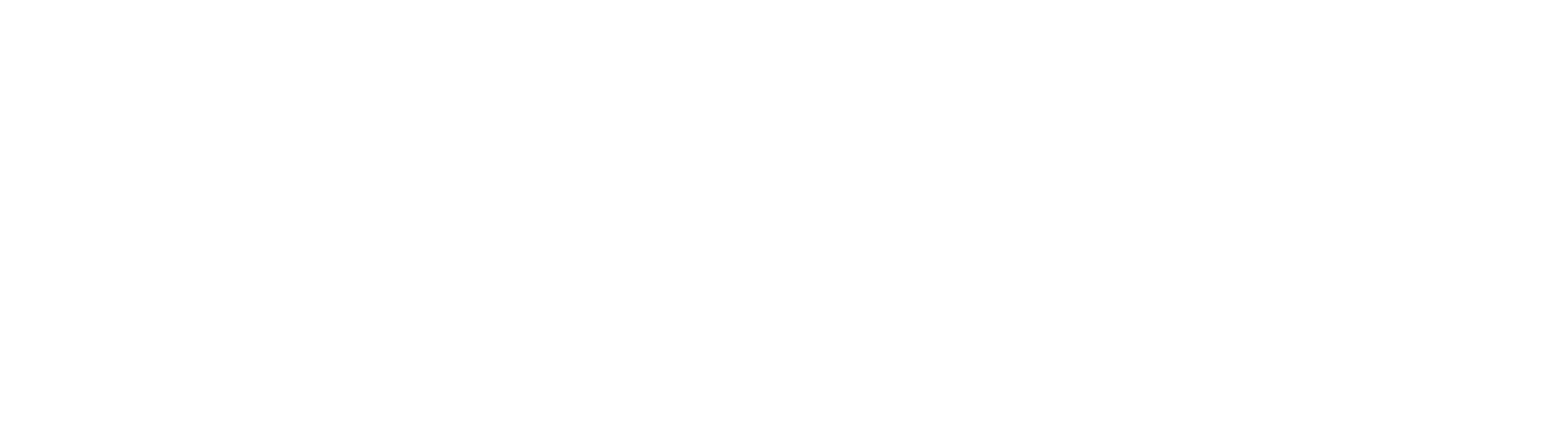 Flute Artist